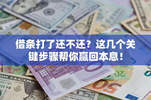武汉借条打了还不还？这几个关键步骤帮你赢回本息！