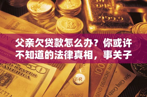 武汉父亲欠贷款怎么办？你或许不知道的法律真相，事关子女未来