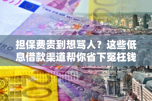 武汉担保费贵到想骂人？这些低息借款渠道帮你省下冤枉钱