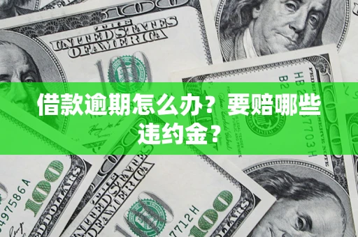 武汉借款逾期怎么办？要赔哪些违约金？